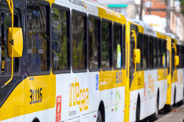 Ônibus Ônibus