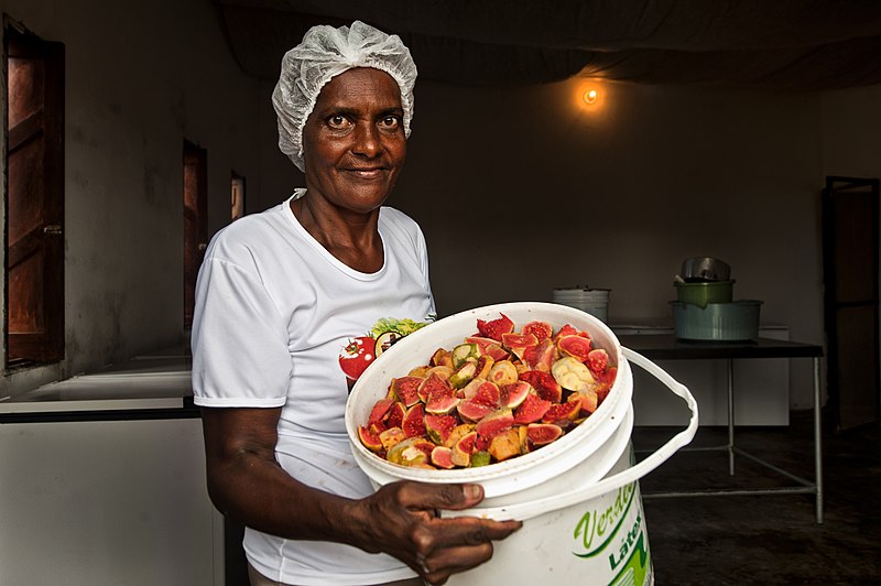 PNUD e SESCOOP/BA lançam edital para assistência técnica às cooperativas baianas