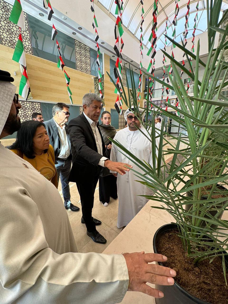 Jerônimo Rodrigues negocia trazer produção de tâmaras para a Bahia