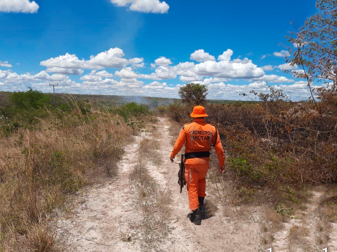 Durante o mesmo período, foram atendidas um total de 320 ocorrências em 64 municípios Durante o mesmo período, foram atendidas um total de 320 ocorrências em 64 municípios
