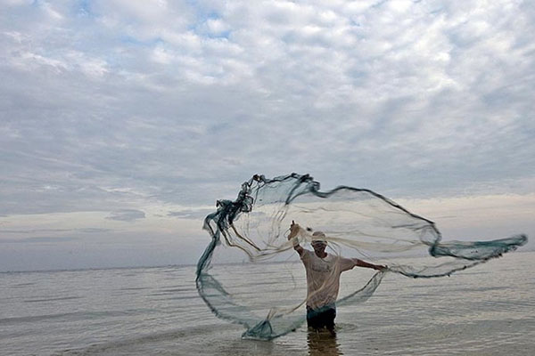 Pescador terá direito mesmo que seja titular de outros benefícios assistenciais ou previdenciários ou de outro benefício de qualquer natureza
