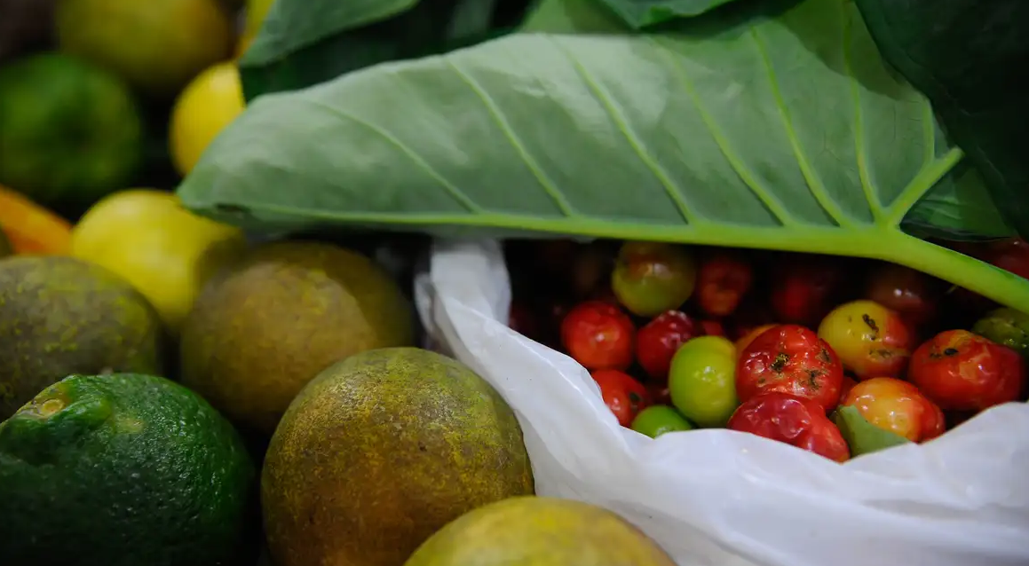 Neste ano foram aprovados 505 pesticidas