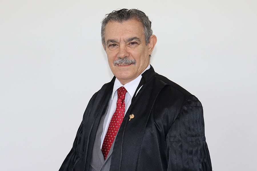  Essa seção, sob a presidência atual do desembargador João Bôsco de Oliveira Seixas, representa o maior órgão fracionário criminal da instituição. 