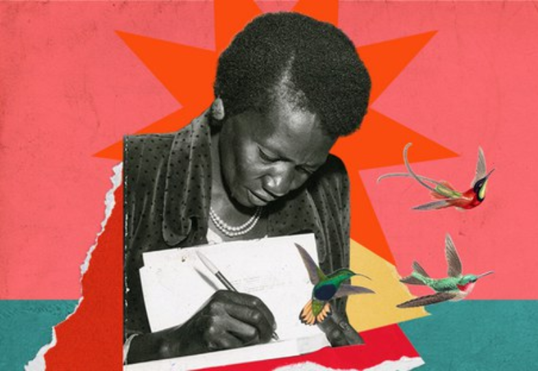 Imagem de MinC amplia número de premiações do Edital Carolina Maria de Jesus de Literatura Produzida por Mulheres Imagem de MinC amplia número de premiações do Edital Carolina Maria de Jesus de Literatura Produzida por Mulheres