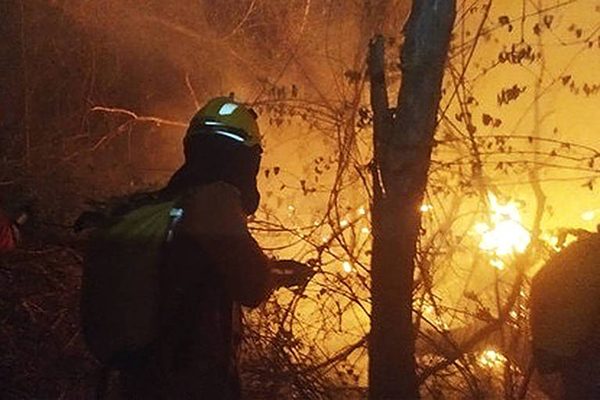 Incêndio florestal atinge áreas de caatinga no Parque Nacional Serra das Confusões, na zona rural de Caracol (PI) Incêndio florestal atinge áreas de caatinga no Parque Nacional Serra das Confusões, na zona rural de Caracol (PI)