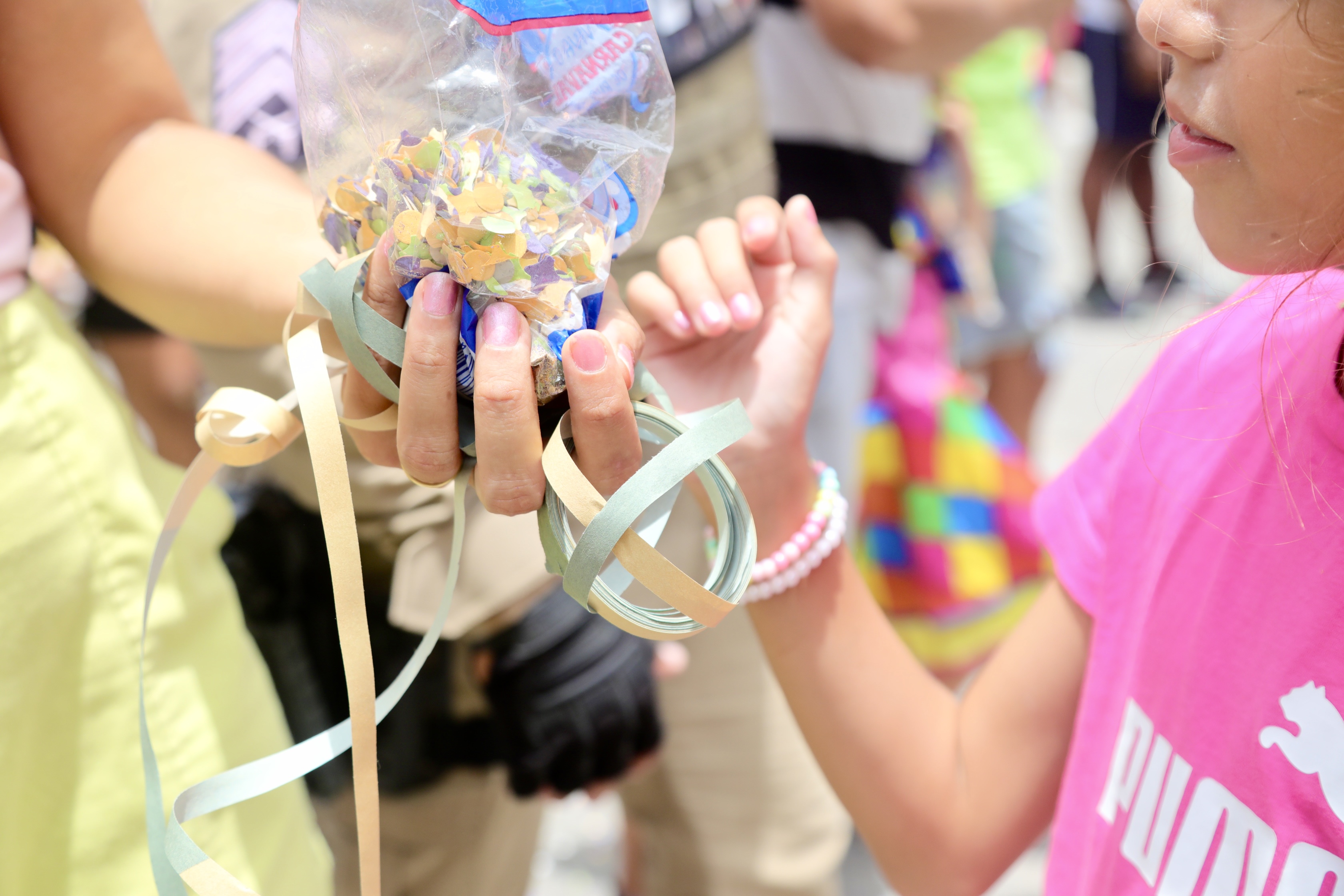 Item pode provocar curtos circuitos e apagões na rede elétrica