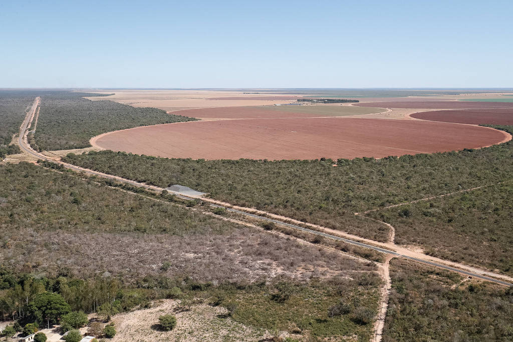 Foto de 2020 de obras da Ferrovia de Integração Oeste-Leste em São Desidério (BA)