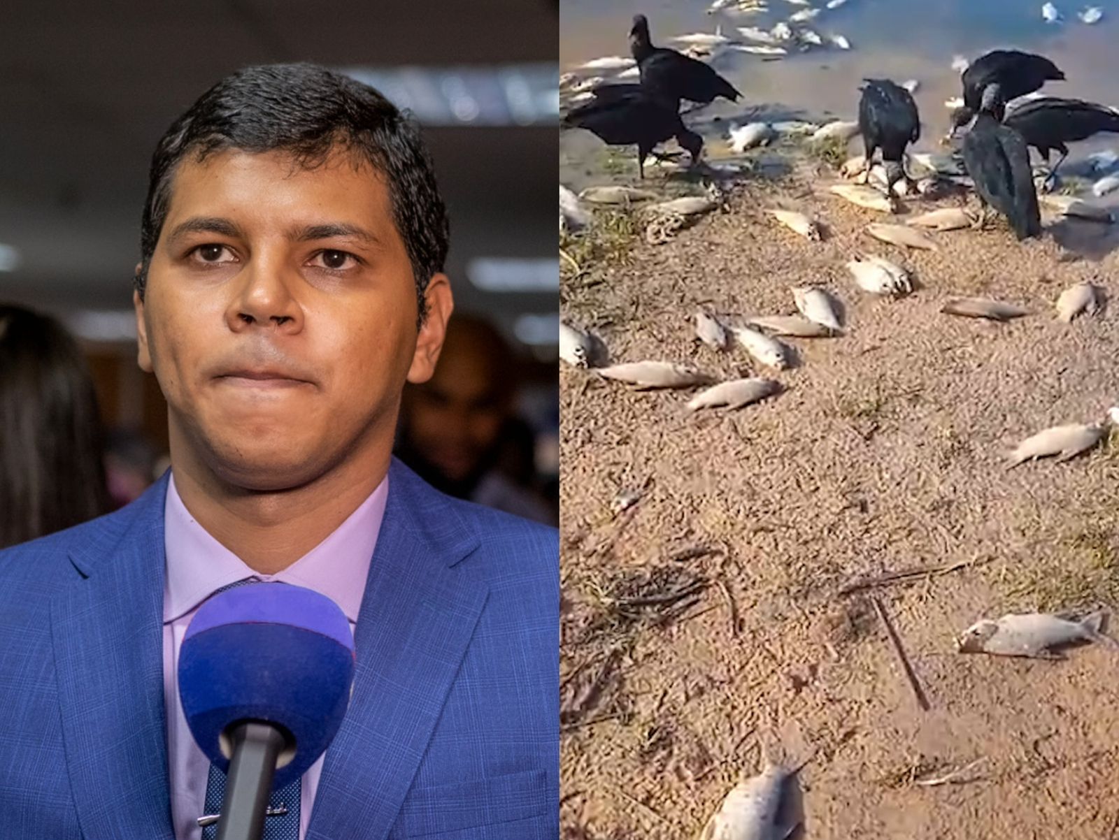 Deputado estadual Diego Castro (PL) Deputado estadual Diego Castro (PL)