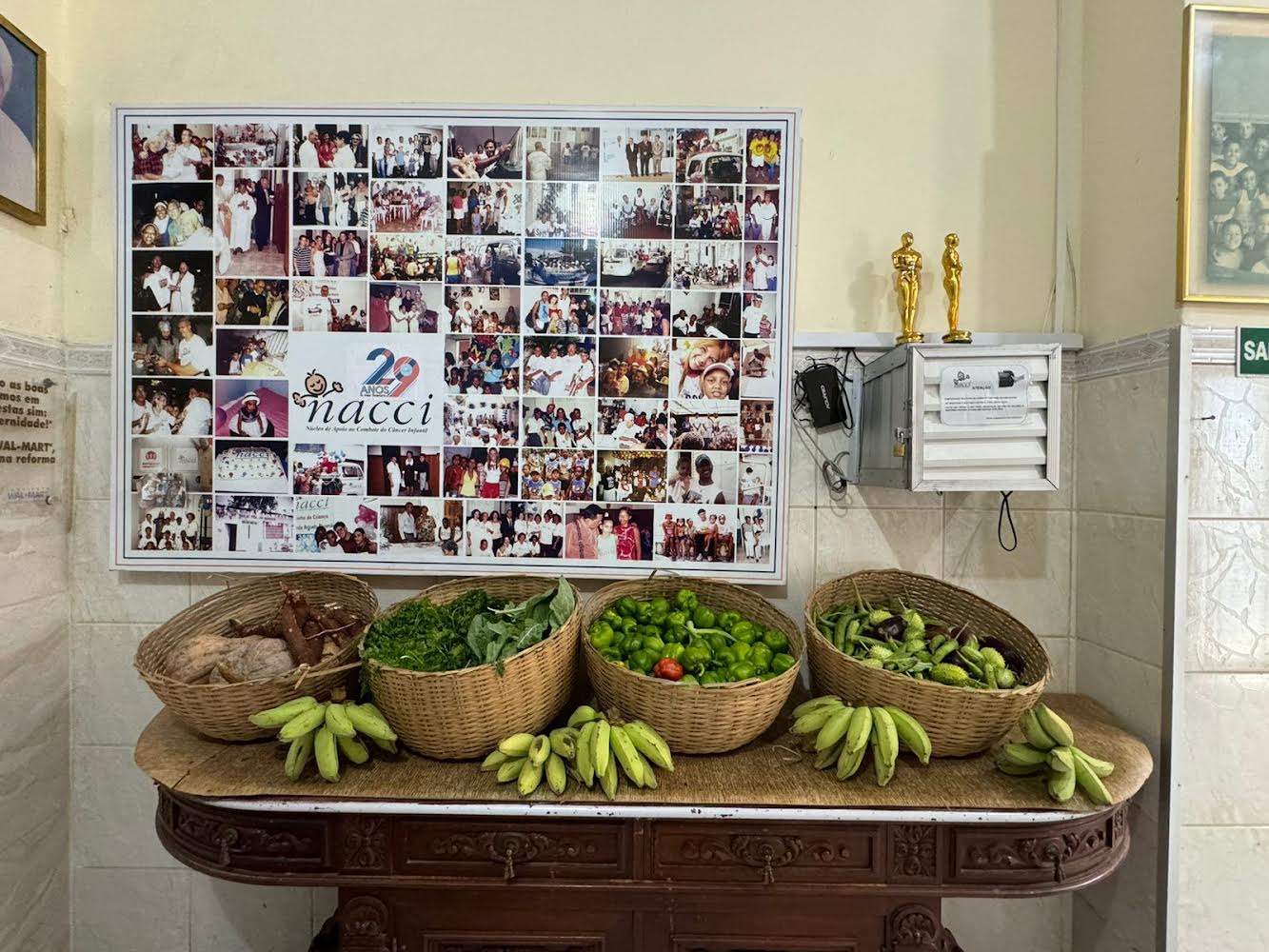 As unidades de plantio estão localizadas no Fórum do Imbuí, no Centro Logístico de Mussurunga e na Sede do Judiciário situada no Centro Administrativo da Bahia