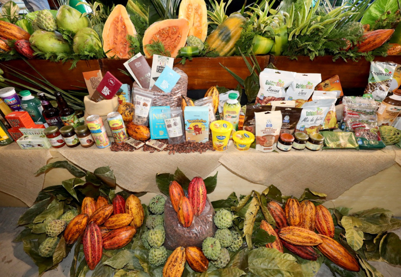 Imagem de Projeto baiano é eleito o melhor do mundo pelo Fundo Internacional de Desenvolvimento Agrícola