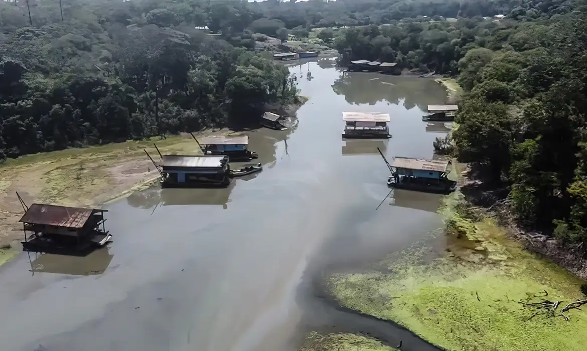 Estudo foi feito pelo Instituto de Pesquisa Ambiental da Amazônia