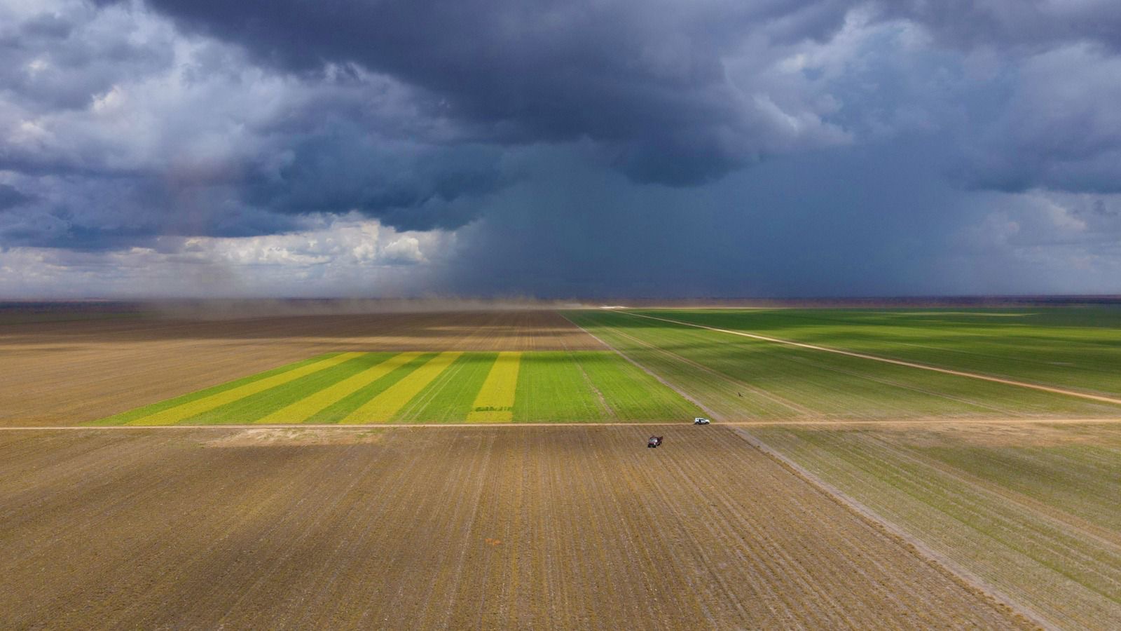 Bahia Farm Show 2024 terá lançamento do Plano ABC+ para controlar emissões de gases do efeito estufa