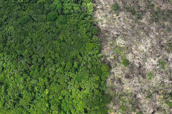 Desmatamento na floresta amazônica em Uruará, no Pará, em janeiro de 2023