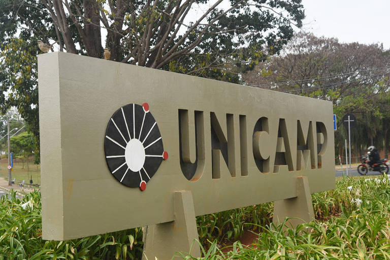 Auditoria da Unicamp constata desvio de R$ 3 milhões do Instituto de Biologia Auditoria da Unicamp constata desvio de R$ 3 milhões do Instituto de Biologia