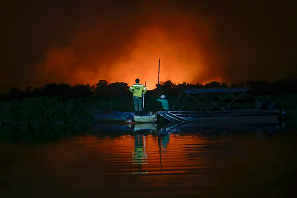 De janeiro até a última terça-feira (11), 372 mil hectares foram atingidos por incêndios no Pantanal De janeiro até a última terça-feira (11), 372 mil hectares foram atingidos por incêndios no Pantanal