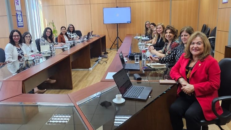 O encontro ocorreu no Ministério das Mulheres, em Brasília, no dia 1º de julho