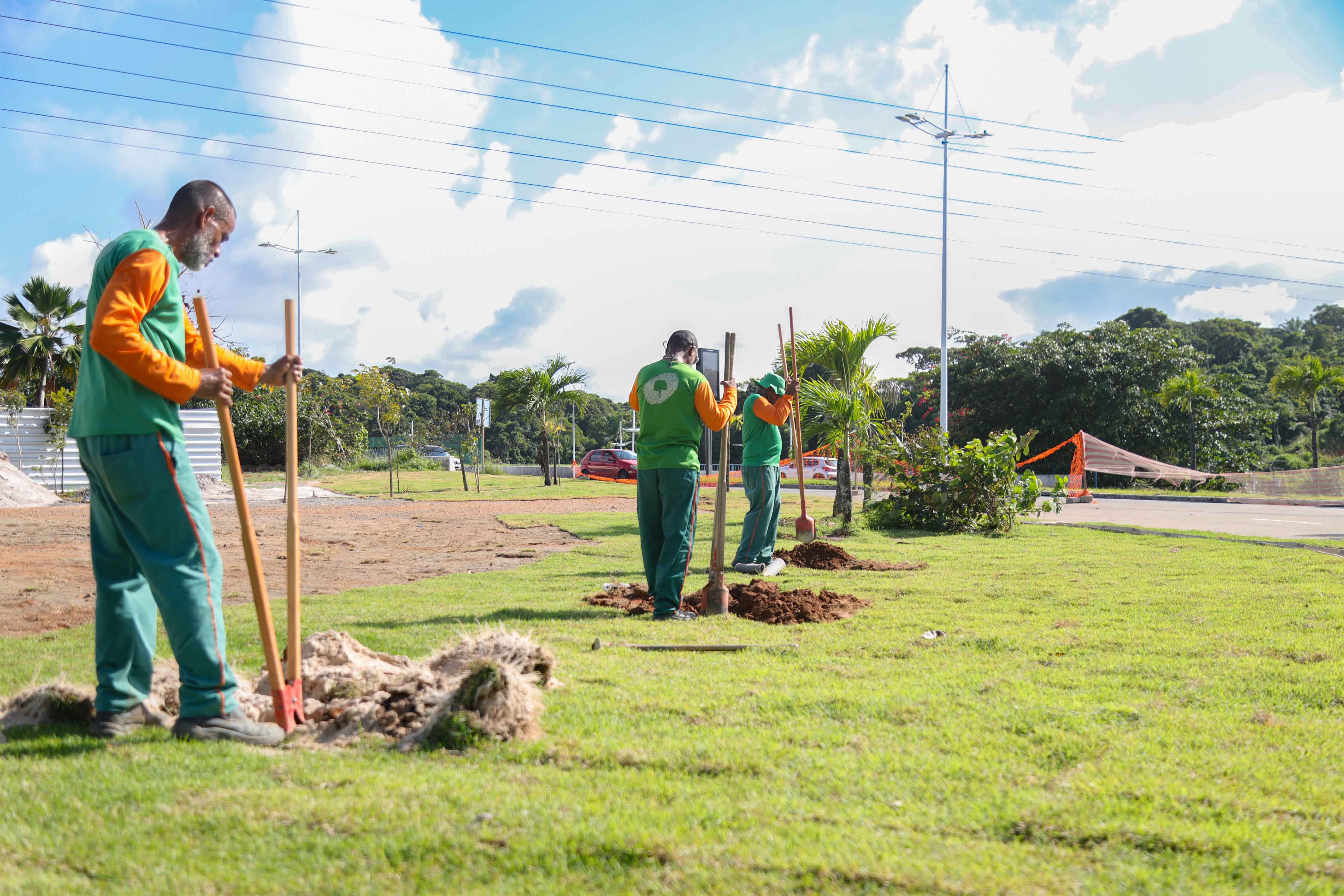 A ação integra a fase final da Operação Plantio Chuva