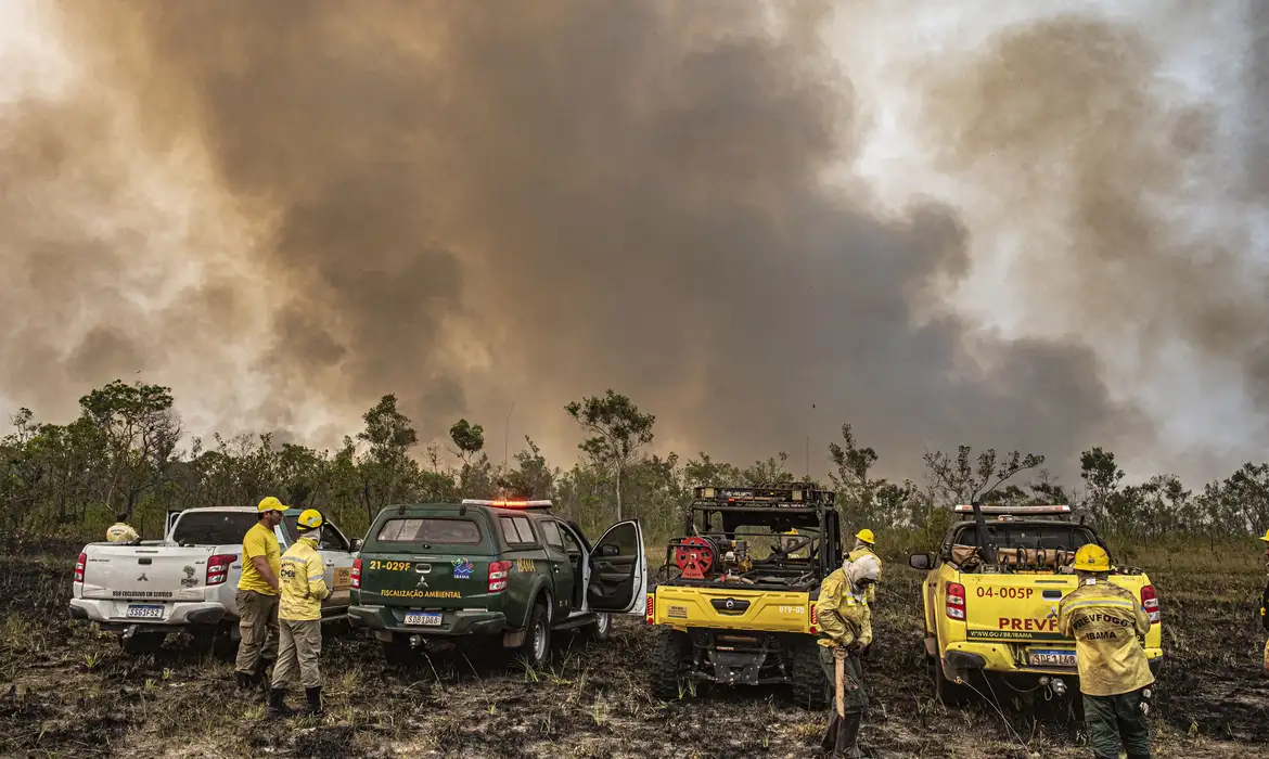 Depois de SP, equipes seguem para o Acre, Amazonas e Rondônia