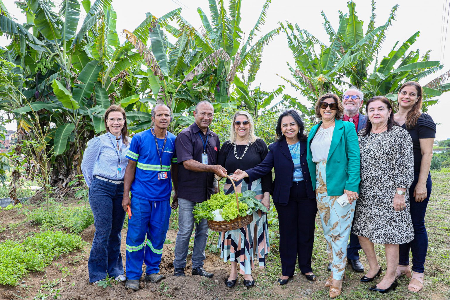 Entre os itens plantados estão coentro, couve, alface, quiabo, jiló, mandioca, abóbora e banana Entre os itens plantados estão coentro, couve, alface, quiabo, jiló, mandioca, abóbora e banana
