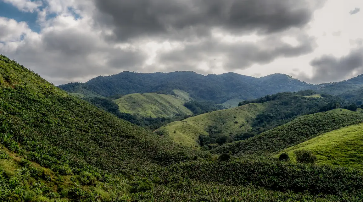 Edição anterior identificou quase 18 mil hectares desflorestados Edição anterior identificou quase 18 mil hectares desflorestados