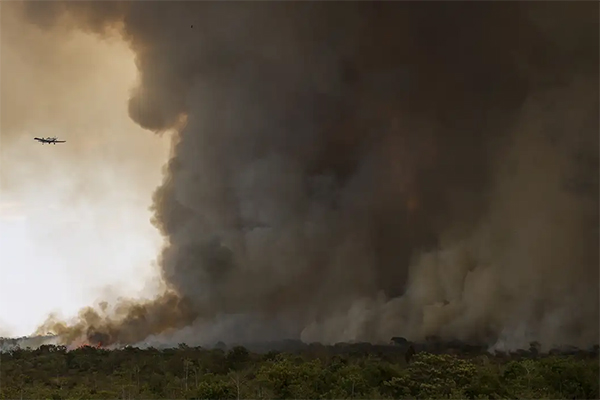 Incêndio no Parque Nacional de Brasília nesta segunda (16)