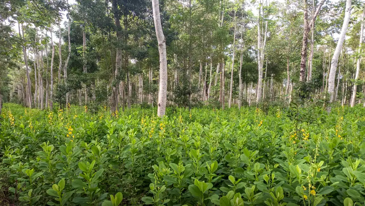  Procuradores se reúnem de 27 a 29 de outubro, no Rio de Janeiro