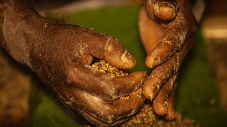 Proposta será anunciada na COP16 em Cali