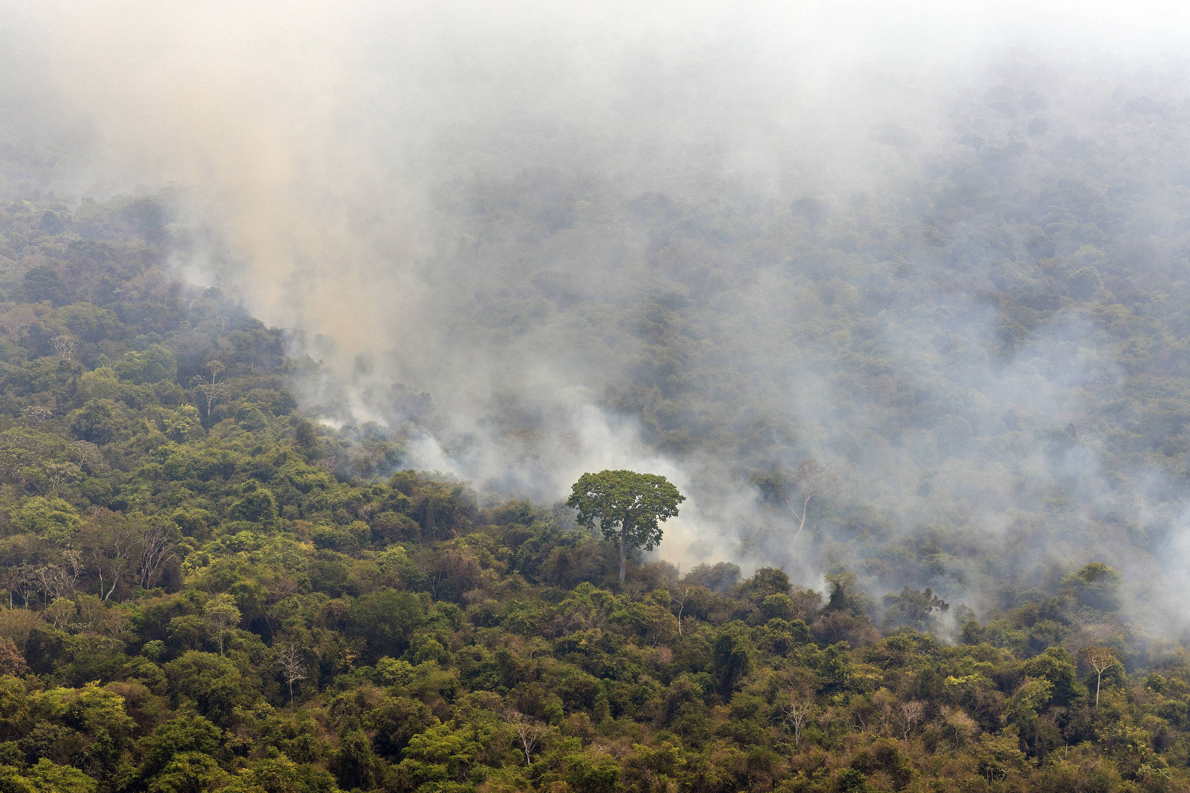 Incêndio florestal na Terra Indígena Kayapó, no Pará, em setembro