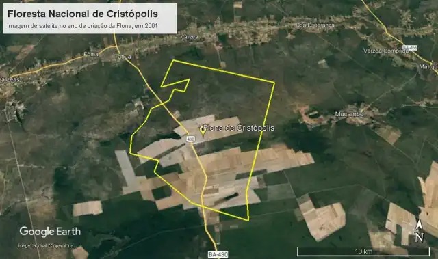 Nos últimos anos, a Aiba produziu dossiês e materiais técnicos em defesa dos agricultores