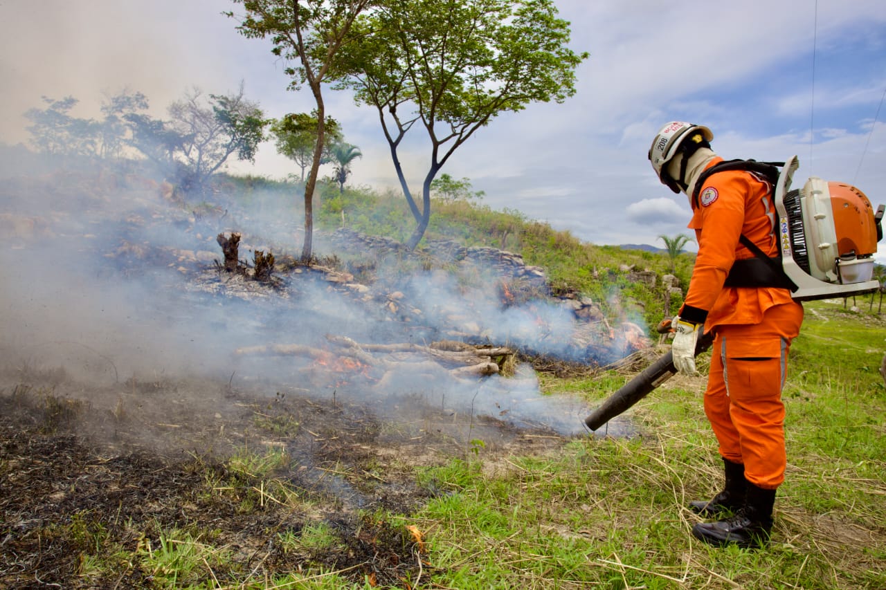 Para conter o avanço do incêndio, foi necessária a intervenção do Corpo de Bombeiros Para conter o avanço do incêndio, foi necessária a intervenção do Corpo de Bombeiros