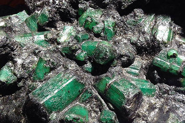 Esmeralda Bahia é alvo de disputa judicial 