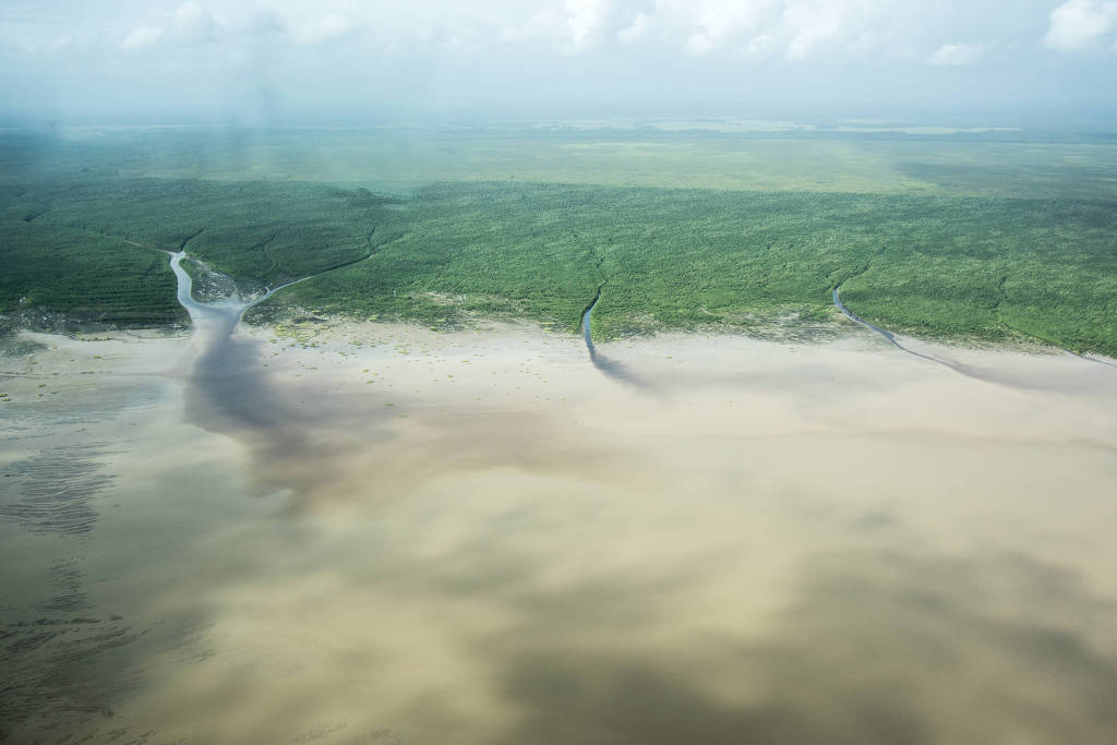 Área da foz do rio Amazonas, que dá nome à bacia petrolífera