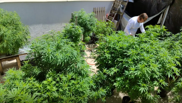 Link para participar deve ser divulgado nos próximos dias