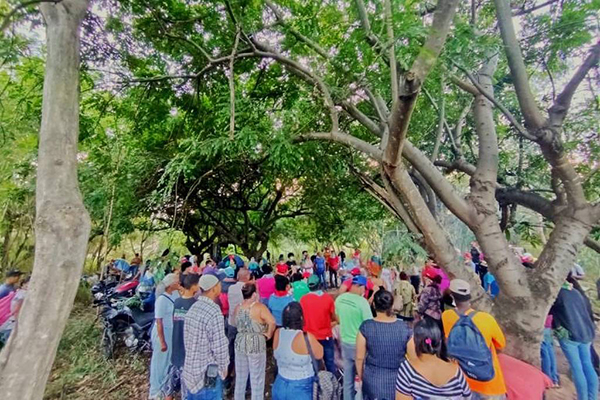 Cerca de 400 famílias participam da invasão de uma fazenda às margens da BR-116 em Frei Inocêncio (MG) Cerca de 400 famílias participam da invasão de uma fazenda às margens da BR-116 em Frei Inocêncio (MG)