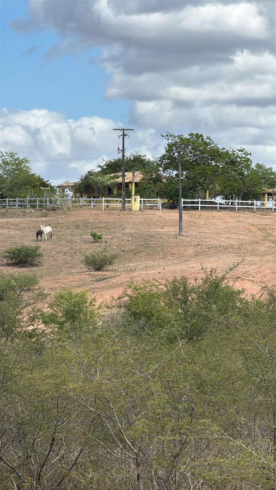 Aquisição de pedreira em Feira de Santana envolve empresário acusado de golpes Aquisição de pedreira em Feira de Santana envolve empresário acusado de golpes