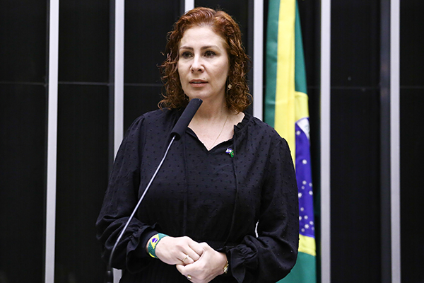 A deputada federal Carla Zambelli (PL-SP) A deputada federal Carla Zambelli (PL-SP)