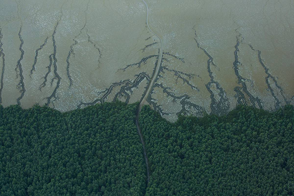 Parque Nacional do Cabo Orange, na costa do Amapá, próximo a blocos exploratórios da bacia Foz do Amazonas
