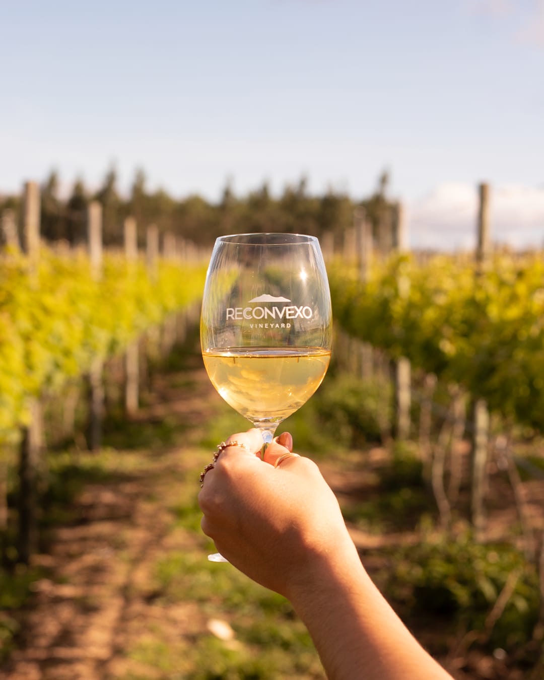 A iniciativa é voltada para pessoas de baixa renda A iniciativa é voltada para pessoas de baixa renda