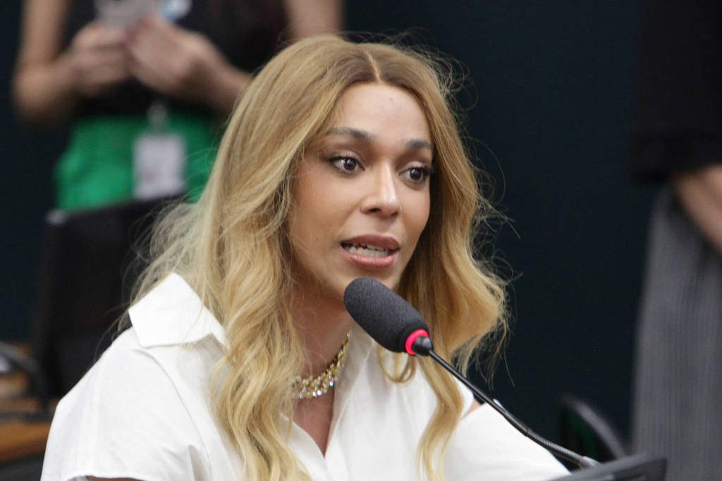 Deputada Erika Hilton (PSOL-SP) Deputada Erika Hilton (PSOL-SP)