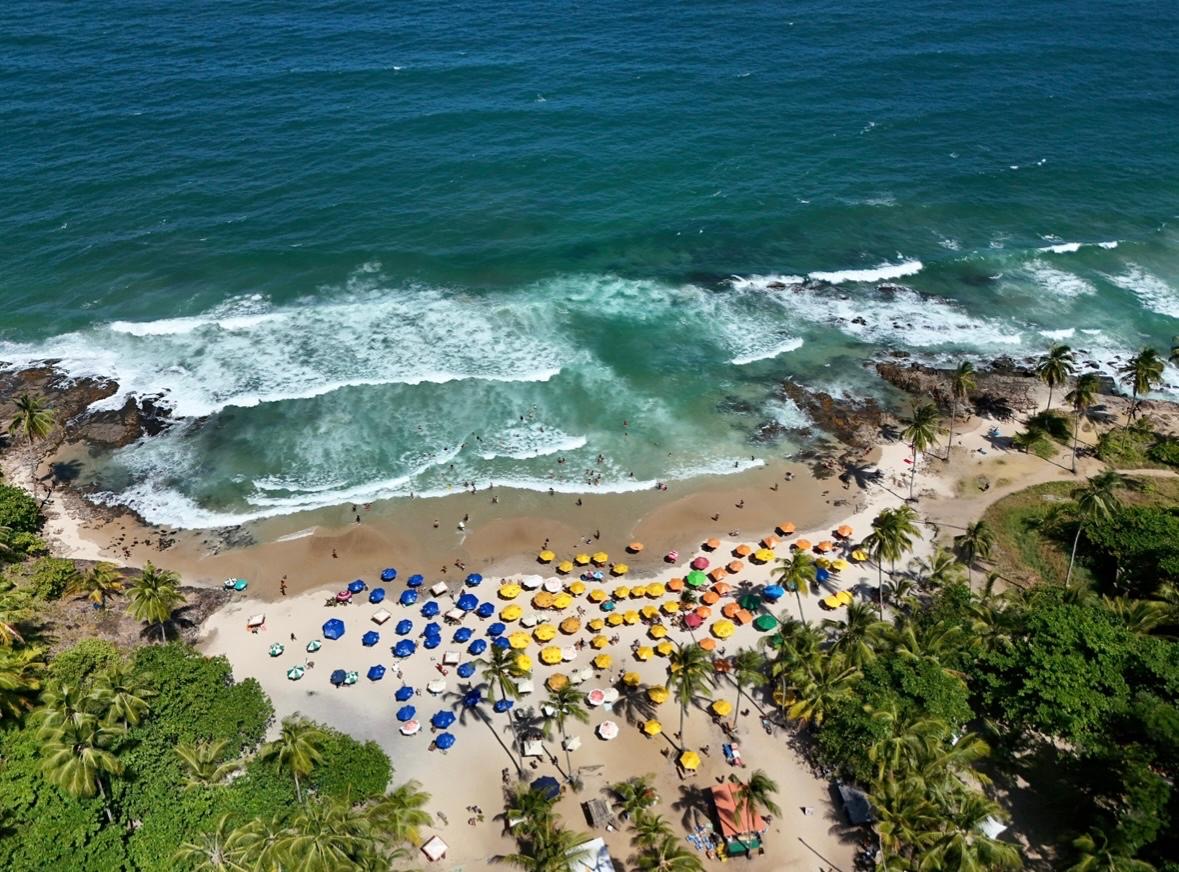 No total, a Setur-BA alcançou cerca de 4,5 mil profissionais do turismo, que foram atualizados sobre a infraestrutura e a diversidade de experiências oferecidas pela Bahia No total, a Setur-BA alcançou cerca de 4,5 mil profissionais do turismo, que foram atualizados sobre a infraestrutura e a diversidade de experiências oferecidas pela Bahia