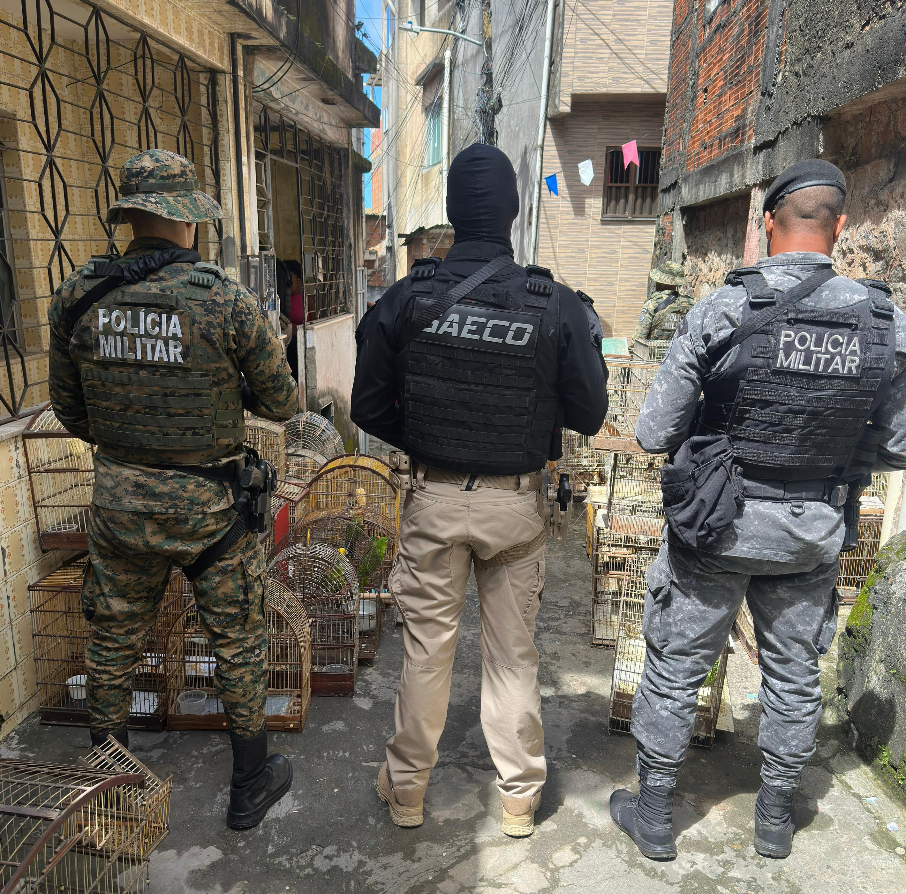 Prisão foi realizada pelo Ministério Público durante deflagração da 'Operação Fauna Protegida' no sul do estado Prisão foi realizada pelo Ministério Público durante deflagração da 'Operação Fauna Protegida' no sul do estado