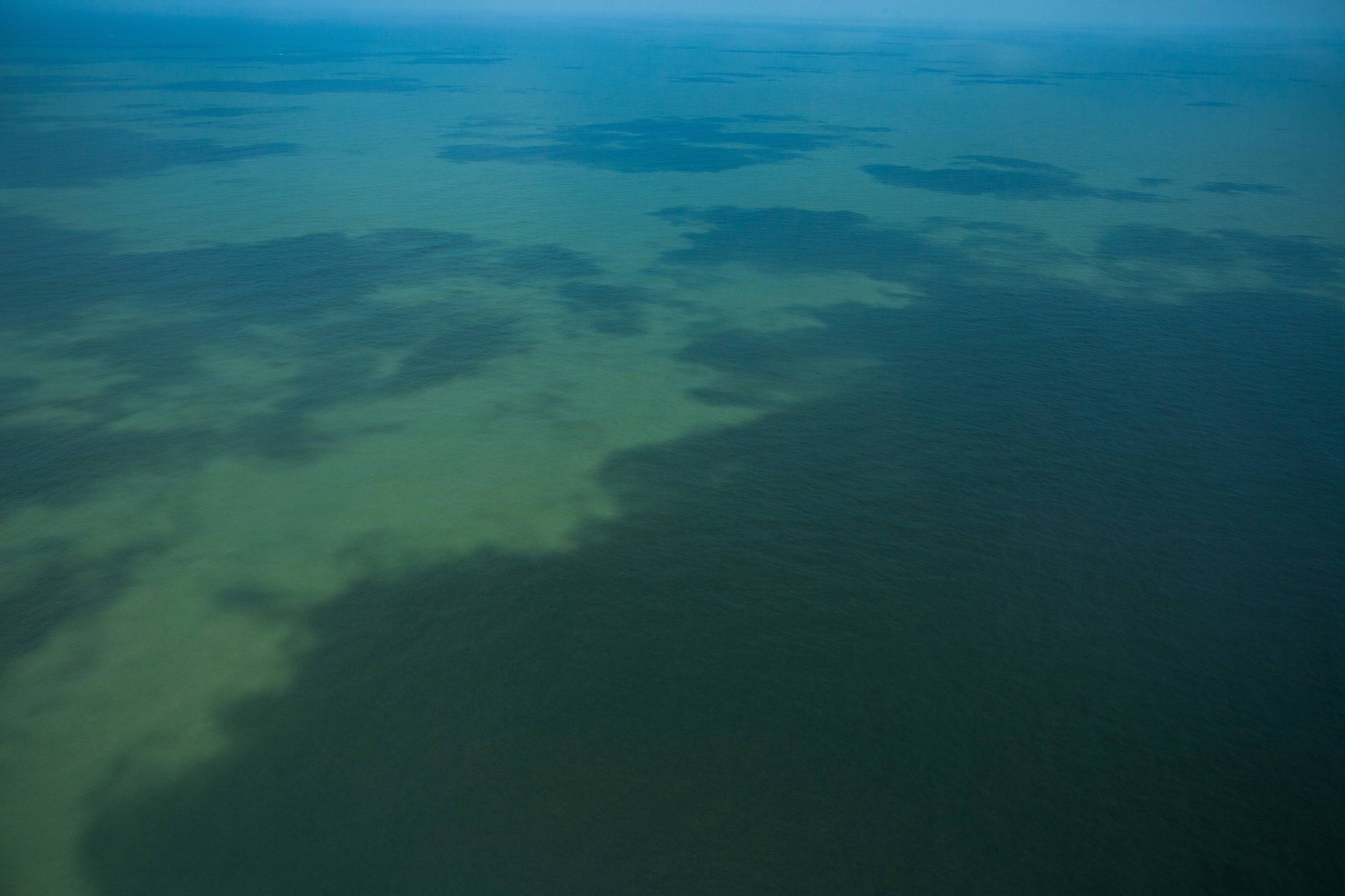 Parque Nacional do Cabo Orange, na costa do estado do Amapá, na Foz do rio Amazonas